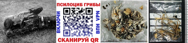 блэк спрут ССЫЛКА  Собинка  Галлюциногенные грибы Cubensis 